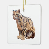 troebele luipfoto oerwoud groot kattedier keramisch ornament (Links)