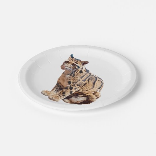 troebele luipfoto oerwoud groot kattedier papieren bordje (Gekanteld)