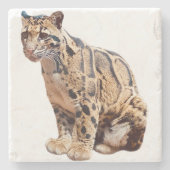 troebele luipfoto oerwoud groot kattedier stenen onderzetter (Voorkant)