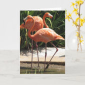 Troep van het Wenskaart van Flamingo's Kaart (Gele Bloem)