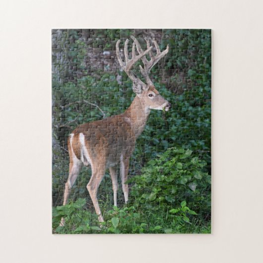 Trofee Whitetail Deer Buck in Velvet Legpuzzel (Verticaal)