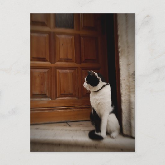 Trogir 16 briefkaart (Voorkant)