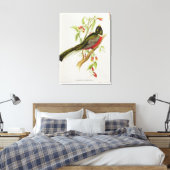 Trogon Ambiguus Canvas Afdruk (Insitu (Slaapkamer))