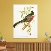 Trogon Ambiguus Canvas Afdruk (Insitu (Woonkamer))