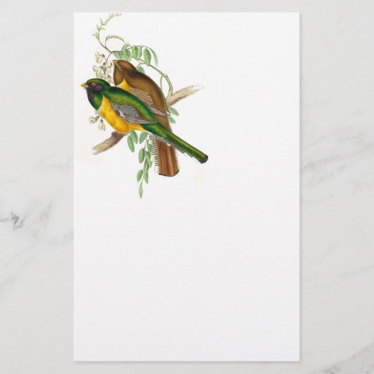 Trogon Bird BT Stationery Briefpapier (Voorkant)