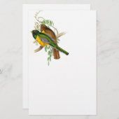 Trogon Bird BT Stationery Briefpapier (Voorkant / Achterkant)