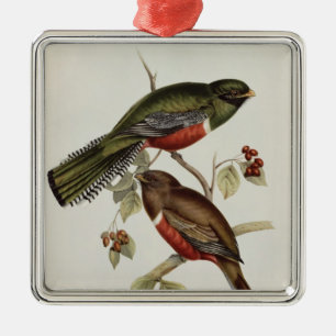 Trogon Collaris Metalen Ornament