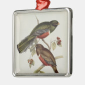 Trogon Collaris Metalen Ornament (Links)