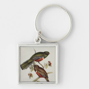 Trogon Collaris Sleutelhanger