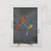 Trogon met zwarte troon - koppel briefkaart (Voorkant)