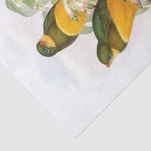 Trogon van de makreel, ontkoppeling tissuepapier (Detail)