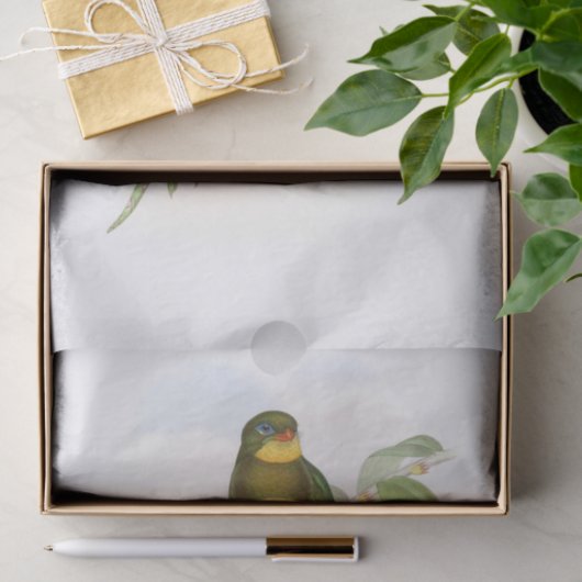 Trogon van de makreel, ontkoppeling tissuepapier (Geschenk)