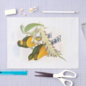 Trogon van de makreel, ontkoppeling tissuepapier (Craft)