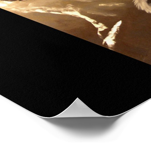 Trois Frères Shaman Poster (Hoek)