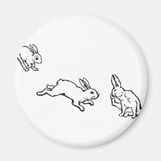 TROIS LAPINS MAGNEET (Voorkant)