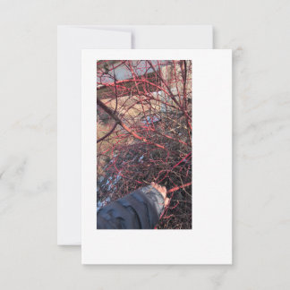 Troll Geocache Kaart