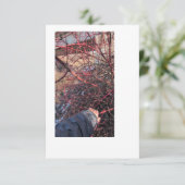 Troll Geocache Kaart (Staand voorkant)