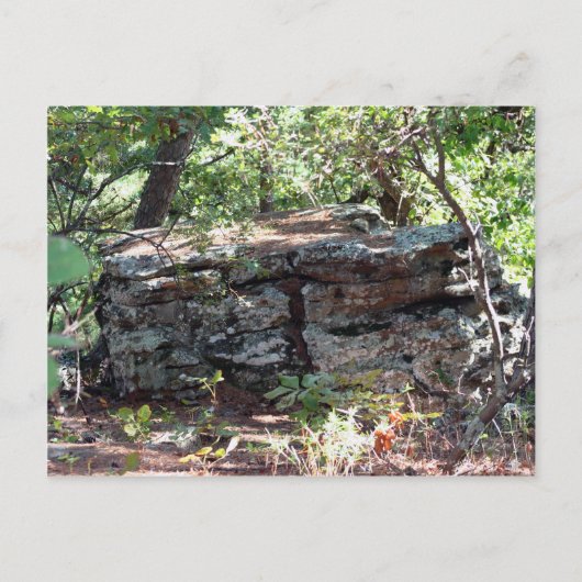 Troll House Briefkaart (Voorkant)