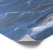 Trollen voor blauwe vis voor de kust van Maine Poster (Hoek)