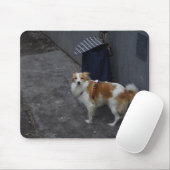 Trollewand Muismat (Met muis)