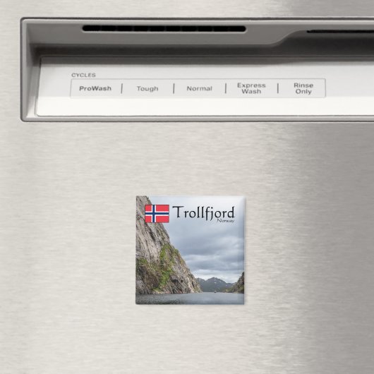 Trollfjord Souvenir Magneet (Insitu (Vaatwasser))