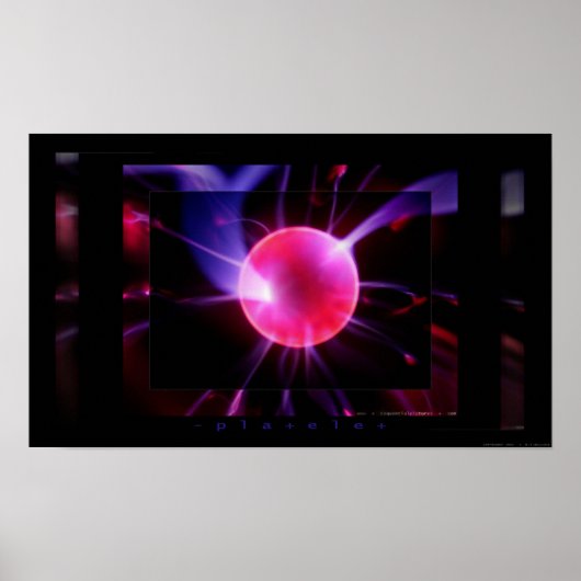 Trombocyten Poster (Voorkant)