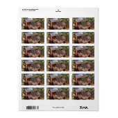 Trommel Etiket (Full Sheet)