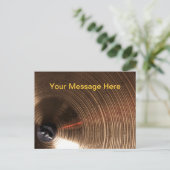 Trommel of drummer Cymbal Afbeelding Briefkaart (Staand voorkant)