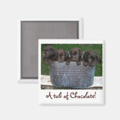 Trommel van Chocolade magneet (Voorkant / Achterkant)