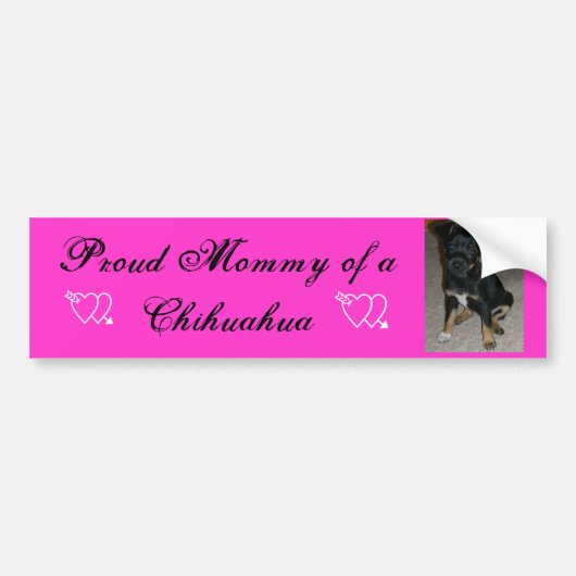 Trommel van een Chihuahua Bumpersticker (Voorkant)