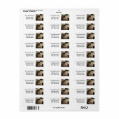 Trommelset Etiket (Full Sheet)