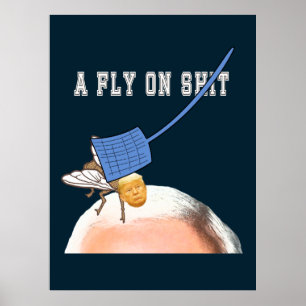 Tromp Vlieg op Pence Hoofd met Vliegenklapper, ZFJ Poster