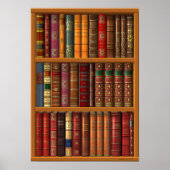 Trompe l'oeil "Franse bibliotheek". Poster (Voorkant)