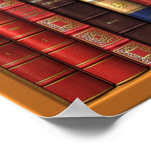 Trompe l'oeil "Franse bibliotheek". Poster (Hoek)