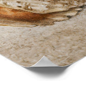 Trompe l'oeil still Life - Jan van Kessel the Elde Poster (Hoek)