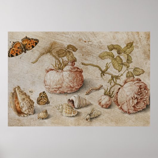 Trompe l'oeil still Life - Jan van Kessel the Elde Poster (Voorkant)