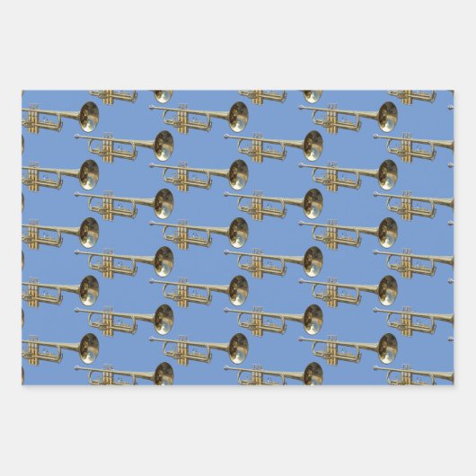 Trompet Brass Muzikaal Ontwerp Inpakpapier Vel (Voorkant 2)