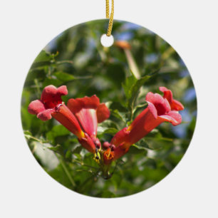 Trompet Vine Flowers Ornament