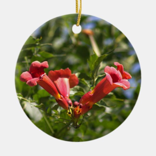 Trompet Vine Flowers Ornament (Voorkant)