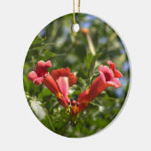 Trompet Vine Flowers Ornament (Links)