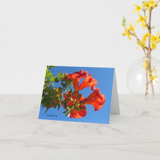 Trompet wijnstok & Honeysuckle Kaart (Gele Bloem)