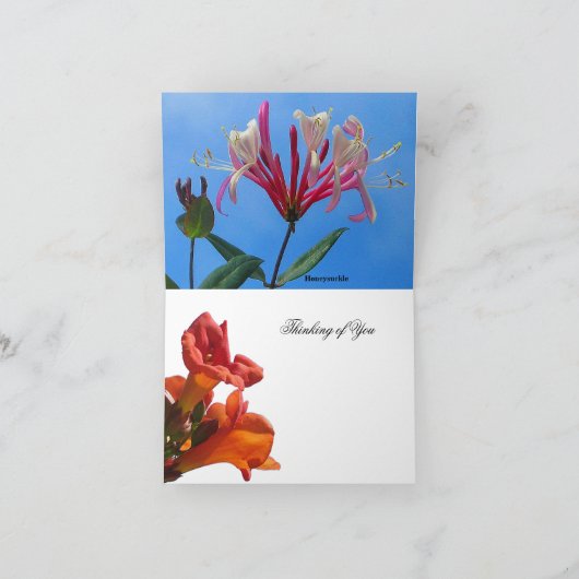 Trompet wijnstok & Honeysuckle Kaart (Binnen)