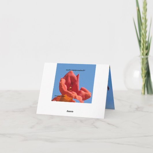 Trompet wijnstok & Honeysuckle Kaart (Achterkant)