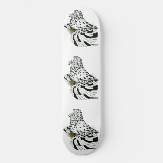 Trompetduif Licht Spat Skateboard (Voorkant)