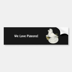 Trompetduif Wit Bumpersticker