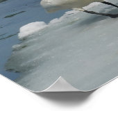 Trompeter zwanen in het noorden van Michigan Poster (Hoek)