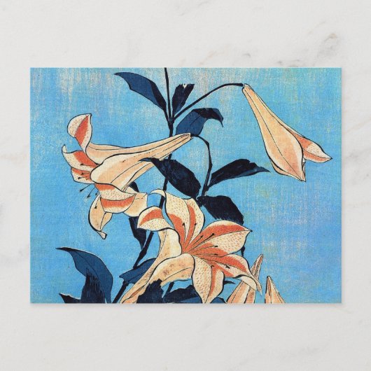 trompetlelies briefkaart (Voorkant)