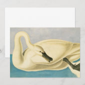 Trompetswan van John James Audubon, Vintage Vogel (Voorkant / Achterkant)