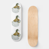 Trompetter Duif AOC Kaalkop Skateboard (Voorkant)