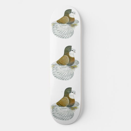 Trompetter Duif AOC Kaalkop Skateboard (Voorkant)